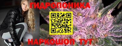 PSILOCYBIN Заволжье