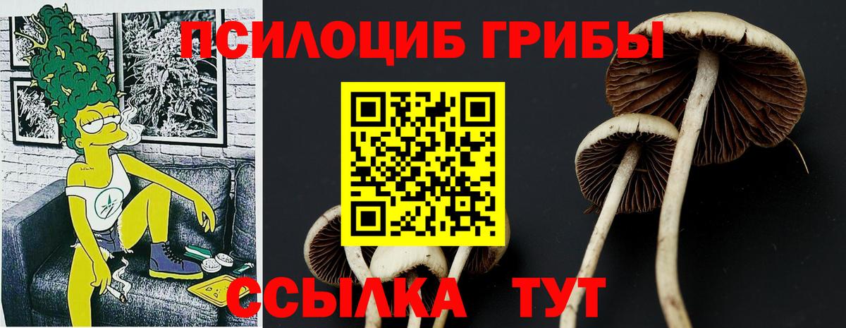 Галлюциногенные грибы Magic Shrooms  где купить наркоту  Медногорск  Вход с VPN 